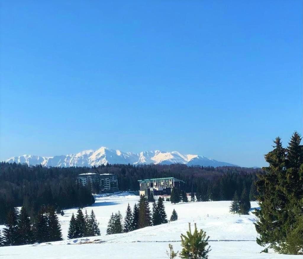 Montana Luxury Vue